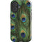 Peacock iPhone 16 Plus Impact Case